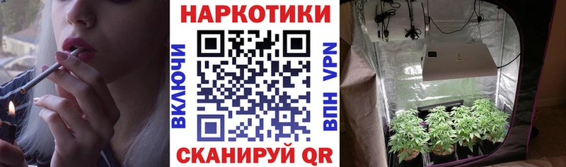 Псилоцибиновые грибы Кандалакша
