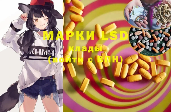 ПСИЛОЦИБИНОВЫЕ ГРИБЫ Верхний Тагил