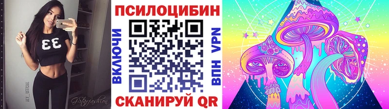 магазин продажи   Кандалакша  Галлюциногенные грибы Psilocybe 